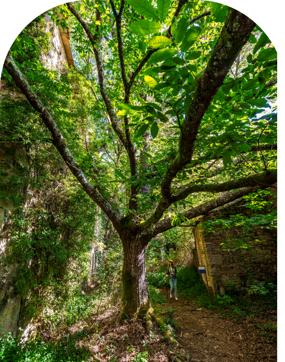 voltagloria_web_ruta_03